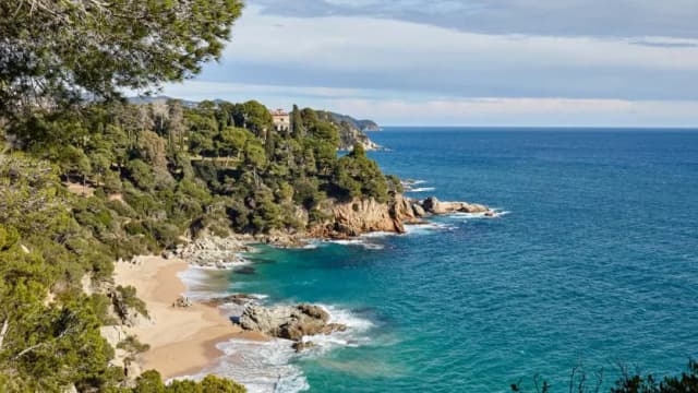 Cala Sa Boadella: The Hidden Cove Just 10 Minutes from Our Fenals Penthouse